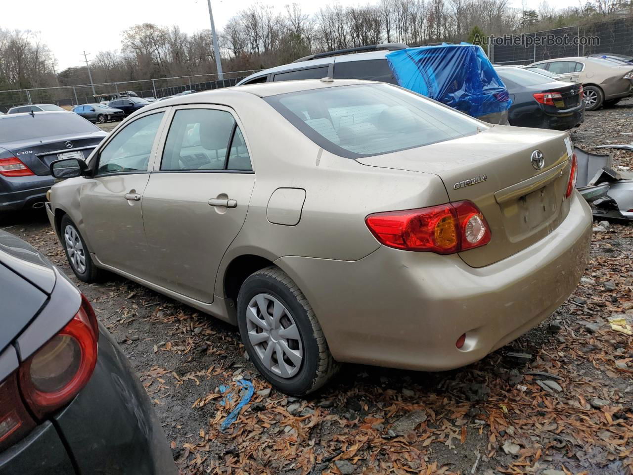 2010 Toyota Corolla Base Gold vin: 1NXBU4EE1AZ336738