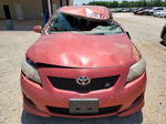 2010 Toyota Corolla Base Red vin: 1NXBU4EE1AZ356763