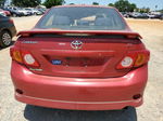 2010 Toyota Corolla Base Red vin: 1NXBU4EE1AZ356763