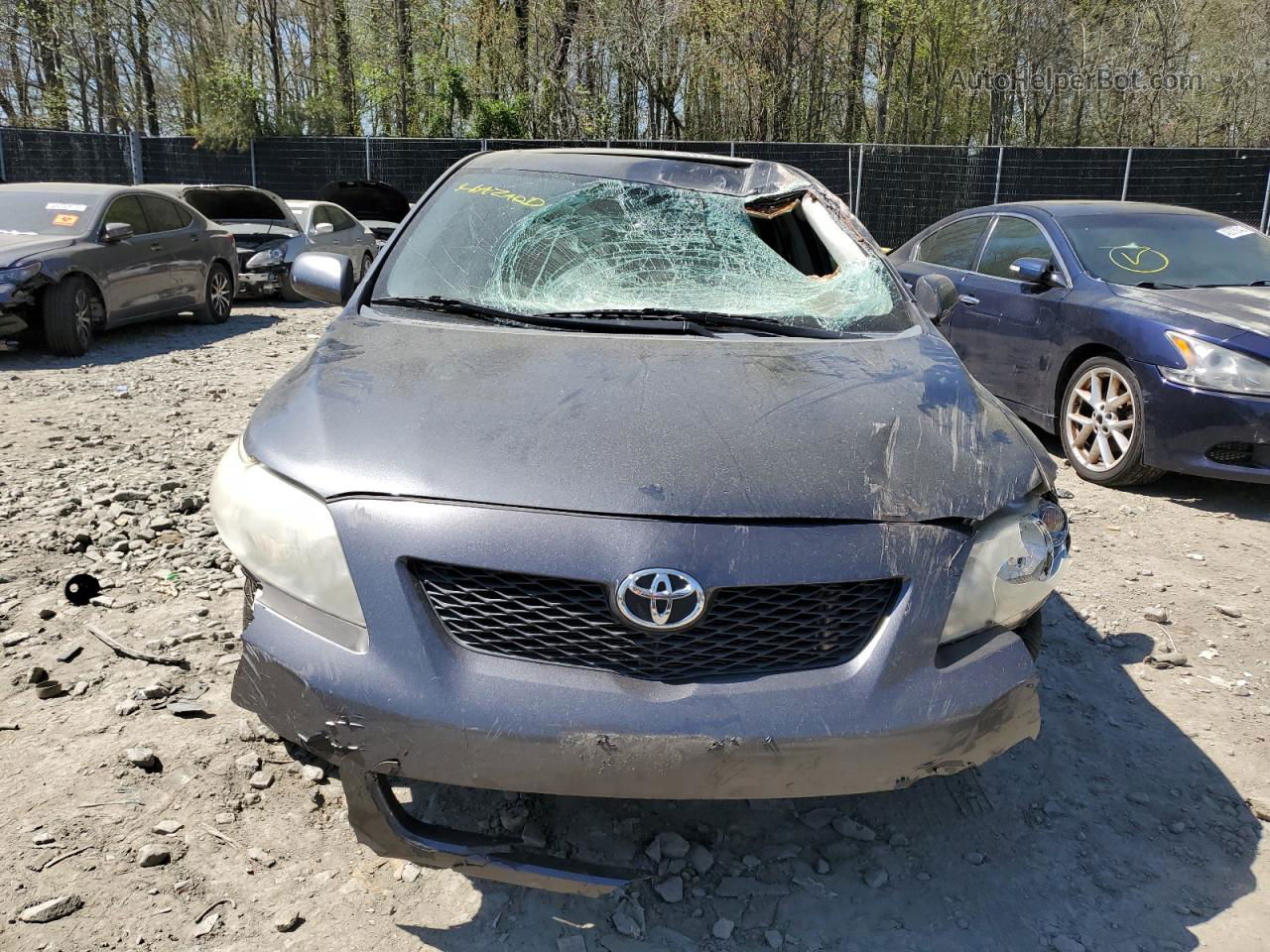 2010 Toyota Corolla Base Gray vin: 1NXBU4EE2AZ206225