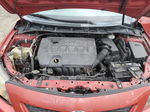 2010 Toyota Corolla Base Красный vin: 1NXBU4EE2AZ271110