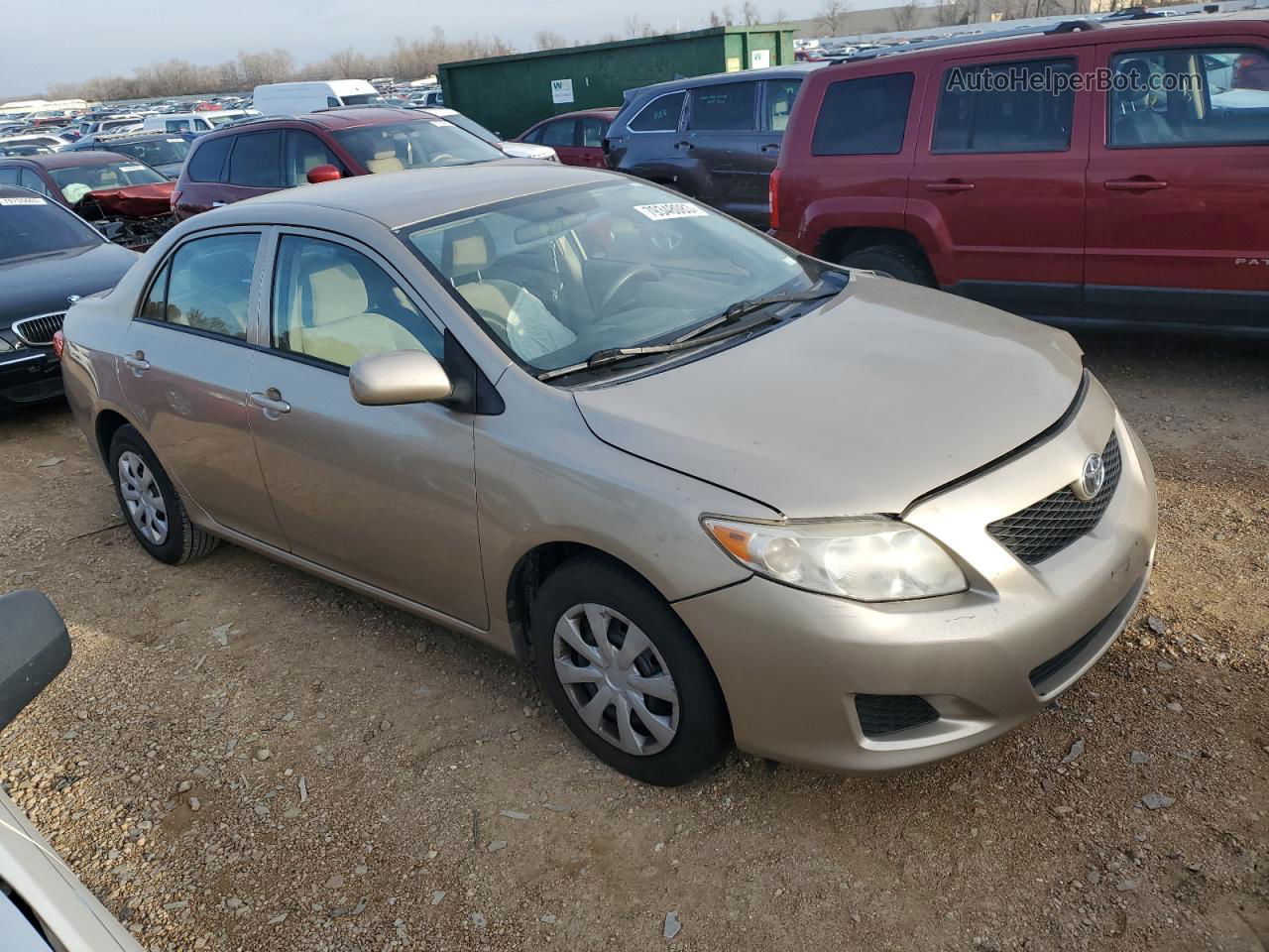 2010 Toyota Corolla Base Tan vin: 1NXBU4EE2AZ275142