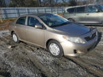 2010 Toyota Corolla Base Gold vin: 1NXBU4EE2AZ276310