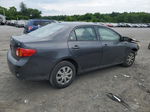 2010 Toyota Corolla Base Серый vin: 1NXBU4EE2AZ348655