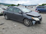 2010 Toyota Corolla Base Gray vin: 1NXBU4EE2AZ348655