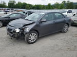 2010 Toyota Corolla Base Gray vin: 1NXBU4EE2AZ348655