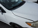 2010 Toyota Corolla Le White vin: 1NXBU4EE2AZ351555