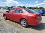 2010 Toyota Corolla Base Red vin: 1NXBU4EE3AZ211658