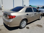 2010 Toyota Corolla Base Tan vin: 1NXBU4EE3AZ307824