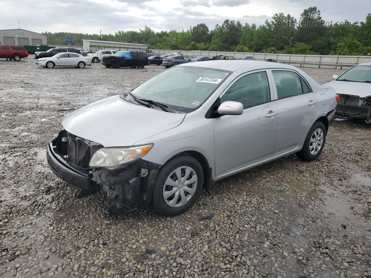 2010 Toyota Corolla Base Silver vin: 1NXBU4EE3AZ331055