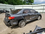 2010 Toyota Corolla Base Gray vin: 1NXBU4EE3AZ332108