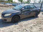 2010 Toyota Corolla Base Серый vin: 1NXBU4EE4AZ217503