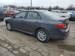 2010 Toyota Corolla Base Gray vin: 1NXBU4EE4AZ268385