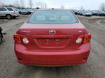 2010 Toyota Corolla Base Красный vin: 1NXBU4EE4AZ268693