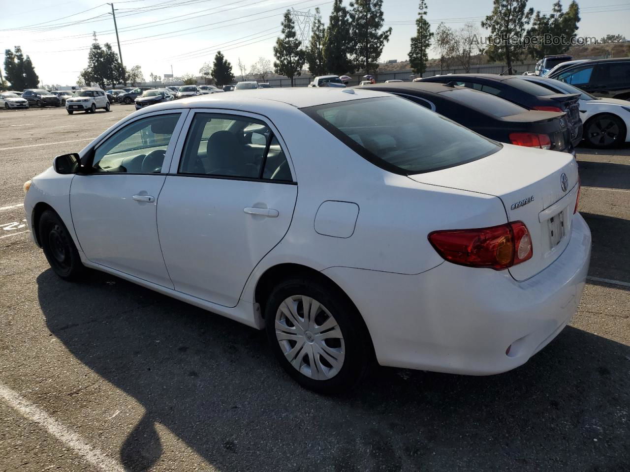 2010 Toyota Corolla Base White vin: 1NXBU4EE4AZ294498