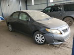 2010 Toyota Corolla Base Charcoal vin: 1NXBU4EE4AZ313311