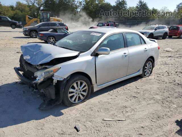 2010 Toyota Corolla Base Silver vin: 1NXBU4EE4AZ323854