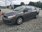 2010 Toyota Corolla Base Gray vin: 1NXBU4EE4AZ329122