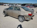 2010 Toyota Corolla Base Tan vin: 1NXBU4EE4AZ336071