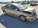 2010 Toyota Corolla Base Tan vin: 1NXBU4EE4AZ336071