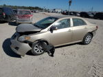 2010 Toyota Corolla Base Tan vin: 1NXBU4EE4AZ336071