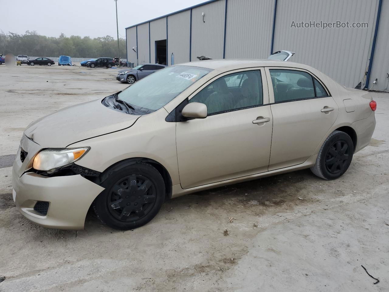 2010 Toyota Corolla Base Золотой vin: 1NXBU4EE5AZ230731