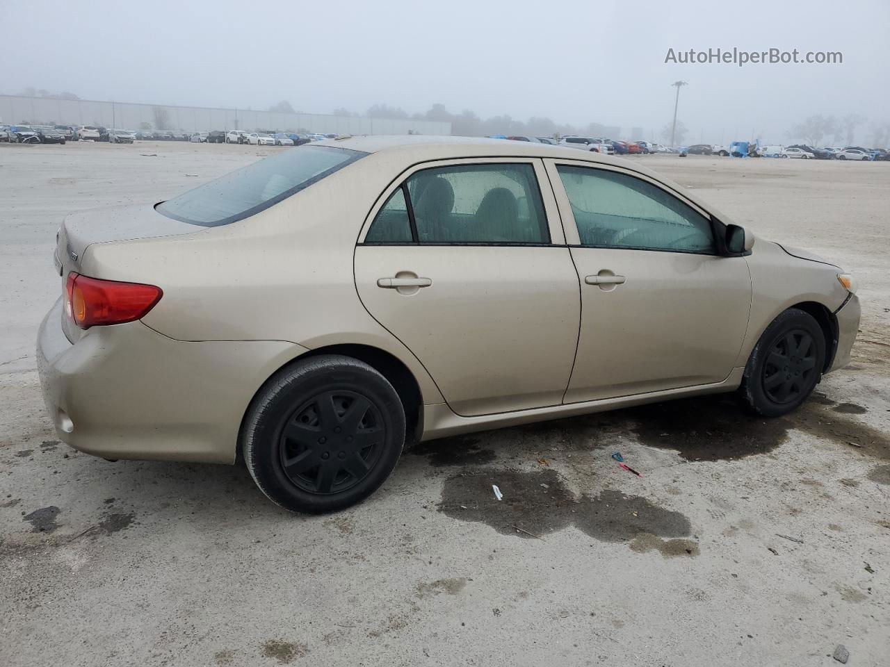 2010 Toyota Corolla Base Gold vin: 1NXBU4EE5AZ230731