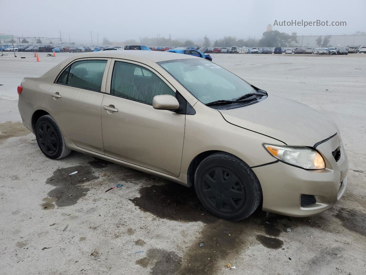 2010 Toyota Corolla Base Gold vin: 1NXBU4EE5AZ230731