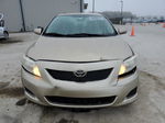 2010 Toyota Corolla Base Gold vin: 1NXBU4EE5AZ230731