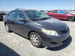 2010 Toyota Corolla Base Gray vin: 1NXBU4EE5AZ250333