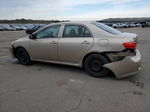 2010 Toyota Corolla Base Beige vin: 1NXBU4EE5AZ290038