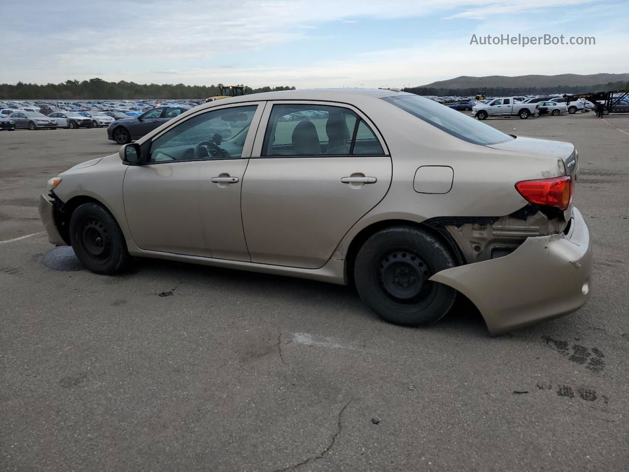 2010 Toyota Corolla Base Beige vin: 1NXBU4EE5AZ290038