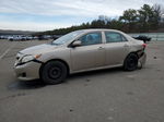 2010 Toyota Corolla Base Beige vin: 1NXBU4EE5AZ290038