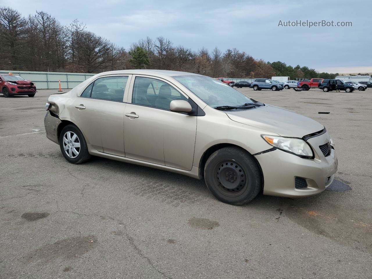 2010 Toyota Corolla Base Beige vin: 1NXBU4EE5AZ290038