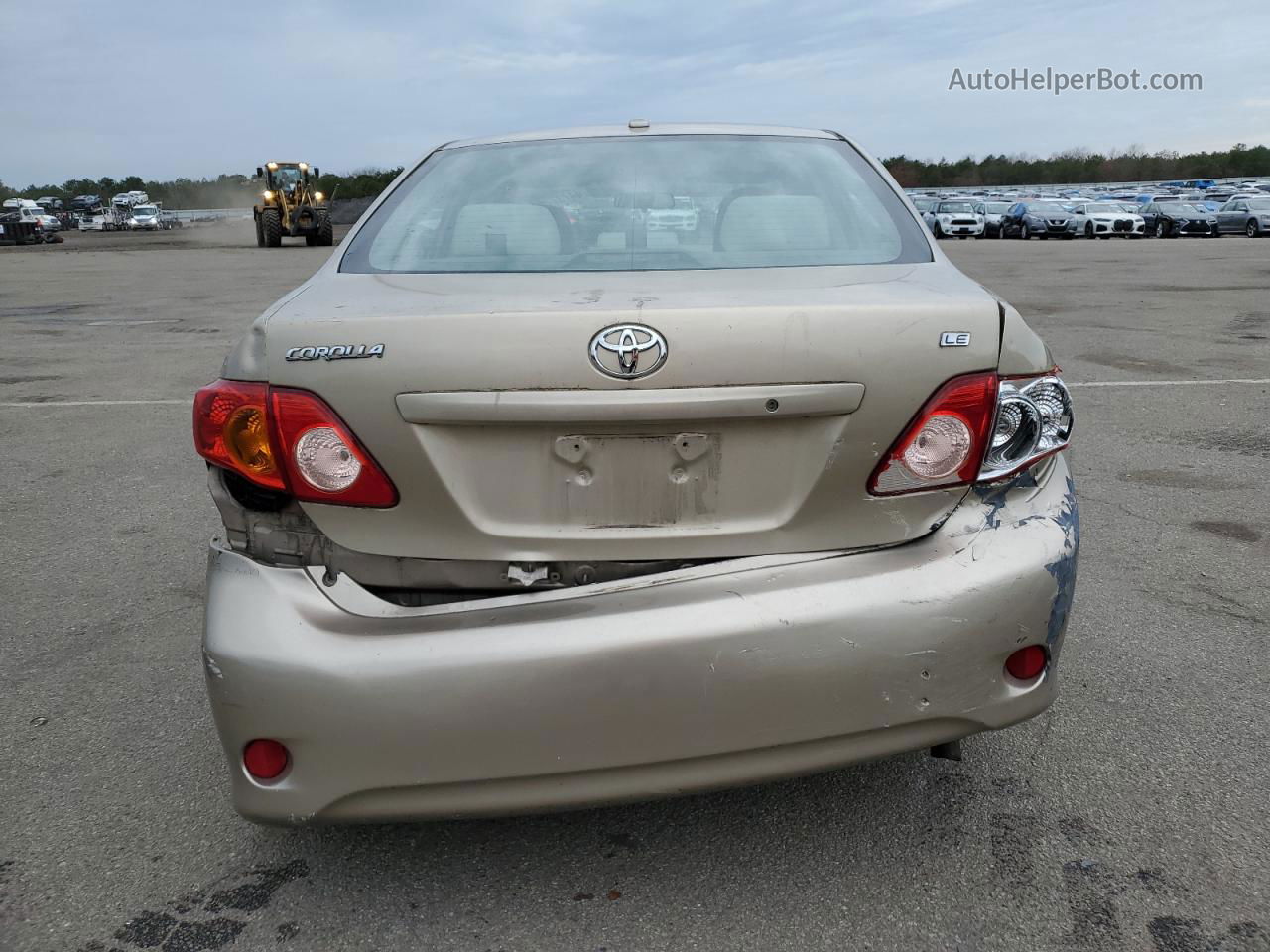 2010 Toyota Corolla Base Beige vin: 1NXBU4EE5AZ290038