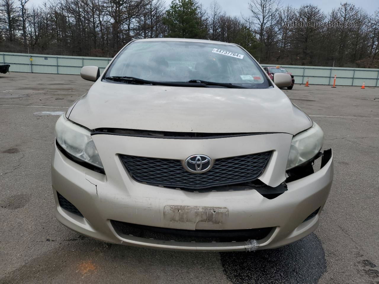 2010 Toyota Corolla Base Beige vin: 1NXBU4EE5AZ290038