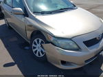 2010 Toyota Corolla Le/s/xle Beige vin: 1NXBU4EE6AZ177232