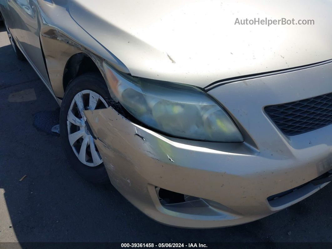 2010 Toyota Corolla Le/s/xle Beige vin: 1NXBU4EE6AZ177232