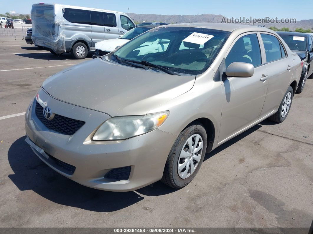 2010 Toyota Corolla Le/s/xle Beige vin: 1NXBU4EE6AZ177232