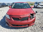 2010 Toyota Corolla Base Красный vin: 1NXBU4EE6AZ194385