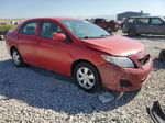 2010 Toyota Corolla Base Red vin: 1NXBU4EE6AZ194385