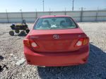 2010 Toyota Corolla Base Red vin: 1NXBU4EE6AZ194385