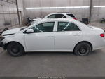 2010 Toyota Corolla Le White vin: 1NXBU4EE6AZ273832