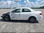 2010 Toyota Corolla Le Белый vin: 1NXBU4EE6AZ286421