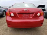 2010 Toyota Corolla Base Red vin: 1NXBU4EE6AZ365765