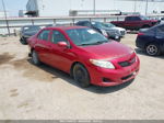 2010 Toyota Corolla   Red vin: 1NXBU4EE7AZ310838