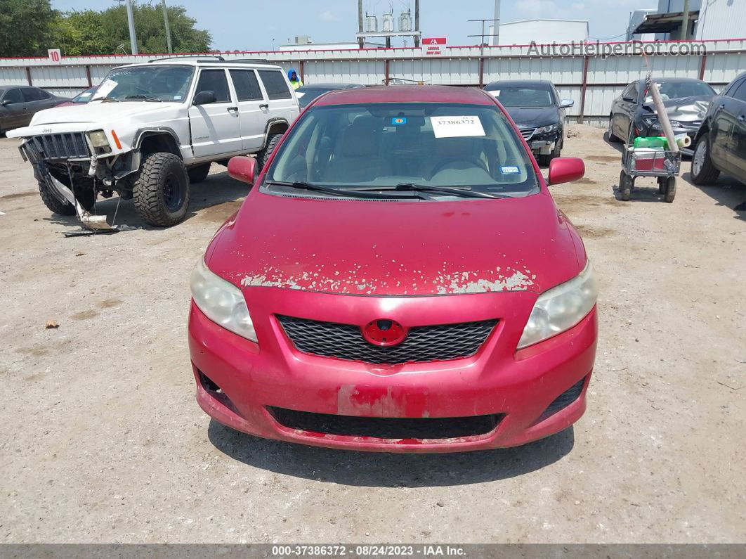 2010 Toyota Corolla   Red vin: 1NXBU4EE7AZ310838