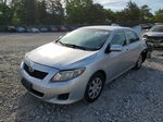 2010 Toyota Corolla Base Silver vin: 1NXBU4EE8AZ330970