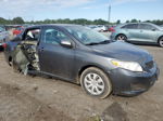 2010 Toyota Corolla Base Gray vin: 1NXBU4EE8AZ385144