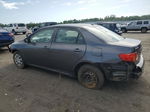 2010 Toyota Corolla Base Gray vin: 1NXBU4EE8AZ385144